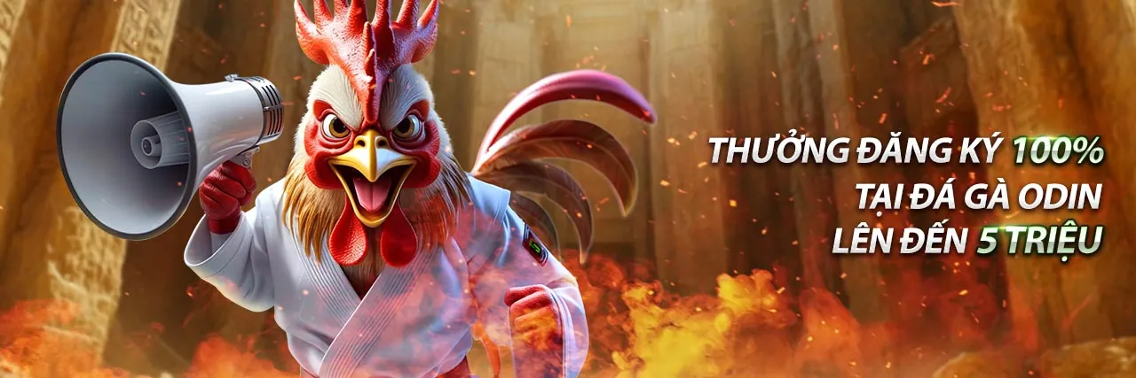 Đá gà trực tuyến kịch tính tại vn138 win 2026